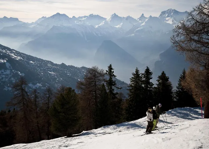 Les Mayens Mb 021 - Luxury 18 Pers Veysonnaz